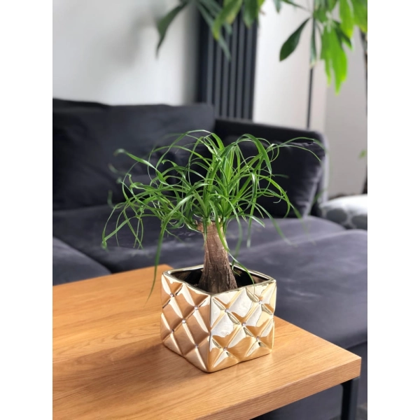 OSŁONKA CERAMICZNA ZŁOTA 14CM